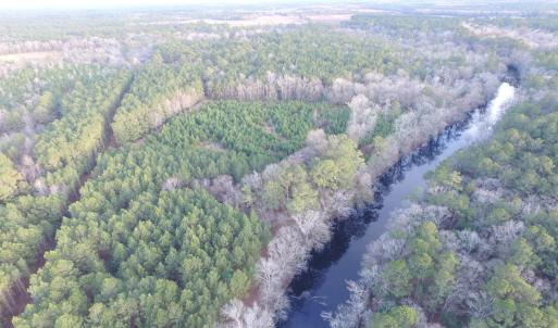 Holly Shelter Creek