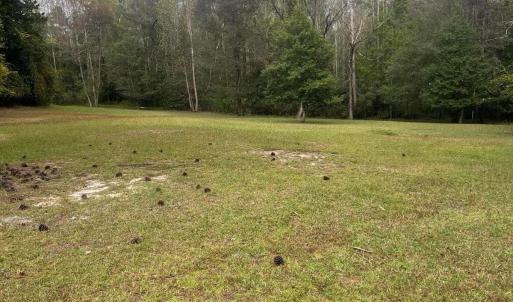 96BC1609-60E6-47B3-A7AB-AFD8F32AE3BB