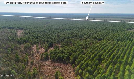 DJI_20260107122620_0584_D Large