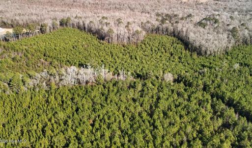 DJI_20260107140914_0643_D Large