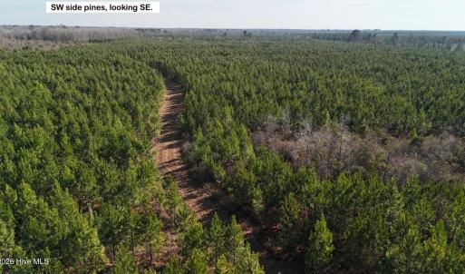 DJI_20260107130654_0613_D Large