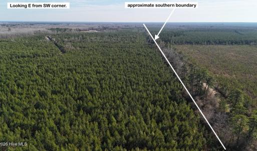 DJI_20260107130756_0616_D Large