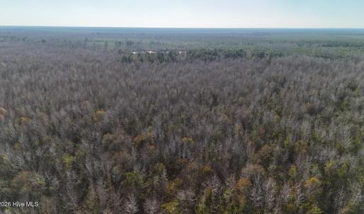 DJI_20260107141521_0653_D Large