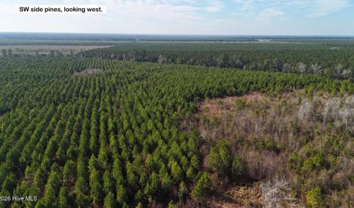 DJI_20260107122615_0583_D Large