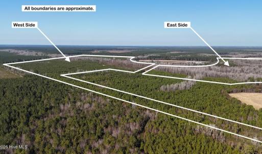 DJI_20260107140902_0642_D Large