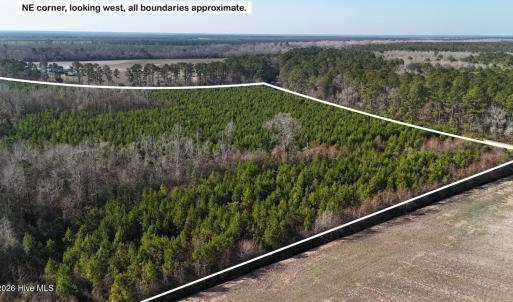 DJI_20260107122927_0602_D Large