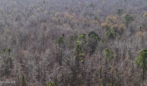 DJI_20260107123031_0606_D Large