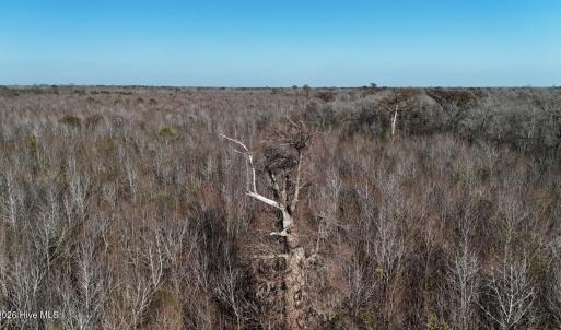 DJI_20260107141732_0657_D Large