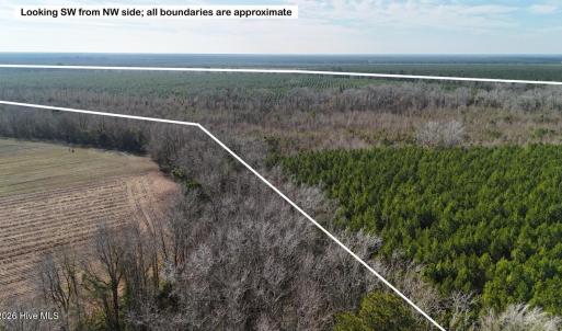 DJI_20260107122532_0582_D Large