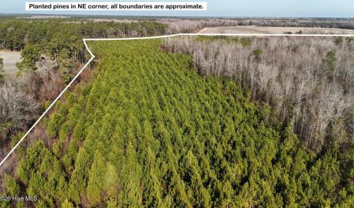 DJI_20260107122714_0597_D Large