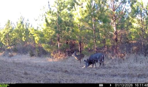 016578005039612-100-2-01132026161148-SYF