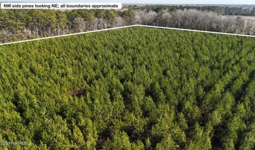 DJI_20260107122321_0576_D Large