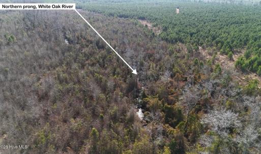 DJI_20260107122701_0586_D Large