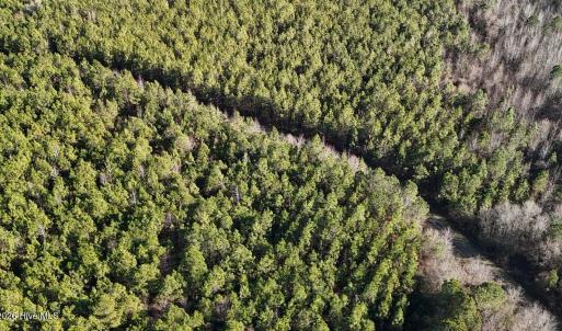 DJI_20260107140920_0644_D Large