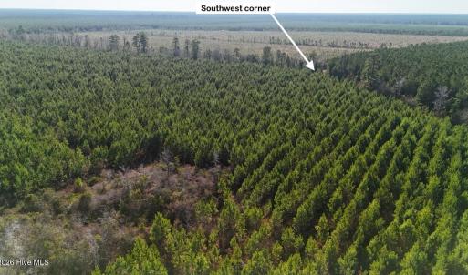 DJI_20260107130722_0615_D Large