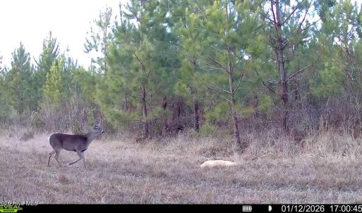 016578005039612-100-2-01122026170045-SYF