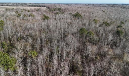 DJI_20260107122736_0599_D Large