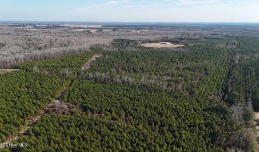 DJI_20260107132014_0632_D Large