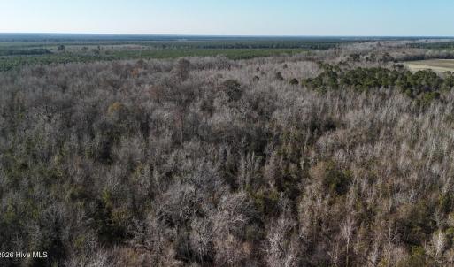 DJI_20260107141516_0652_D Large