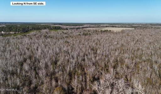 DJI_20260107141502_0649_D Large