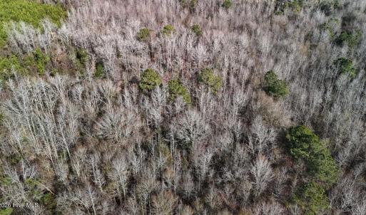 DJI_20260107122756_0600_D Large