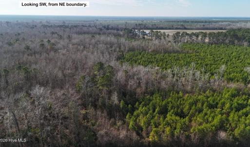 DJI_20260107122931_0603_D Large