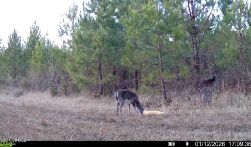 016578005039612-100-2-01122026170936-SYF