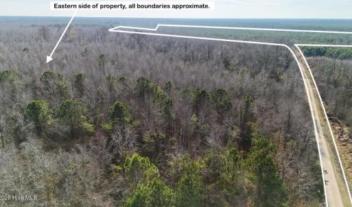 DJI_20260107122524_0592_D Large