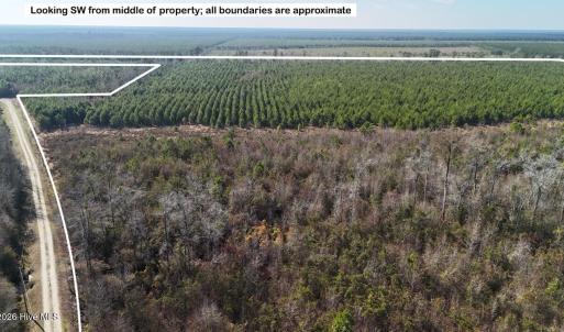 DJI_20260107123253_0609_D Large