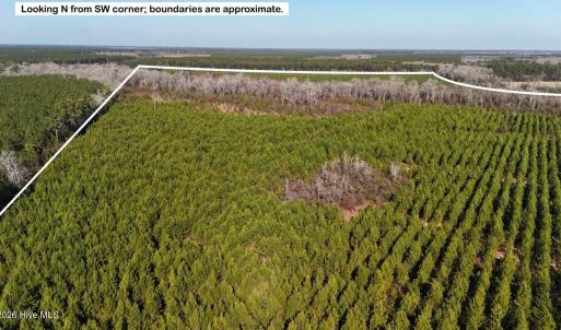 DJI_20260107130814_0619_D Large