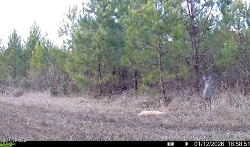 016578005039612-100-2-01122026165851-SYF