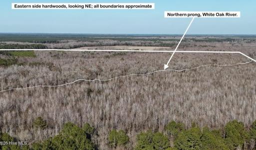 DJI_20260107141939_0659_D Large