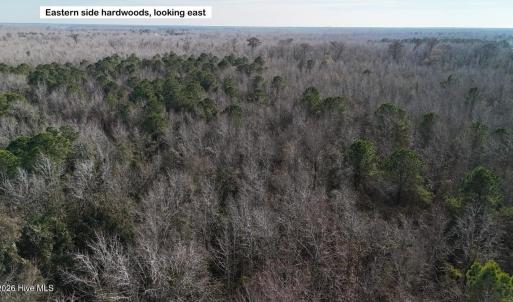 DJI_20260107122536_0594_D Large