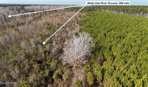 DJI_20260107122236_0572_D Large