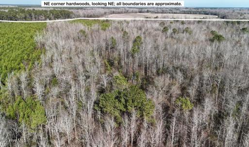 DJI_20260107122728_0598_D Large