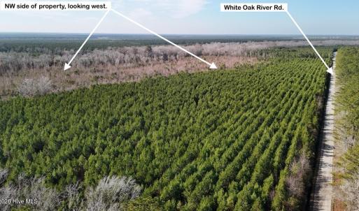 DJI_20260107122526_0581_D Large