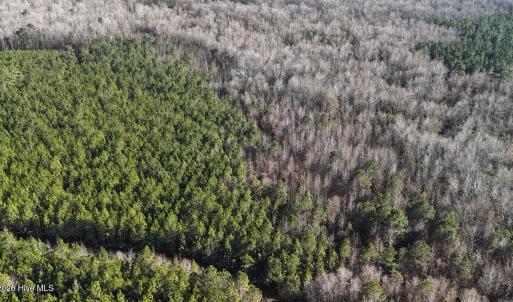 DJI_20260107140938_0645_D Large