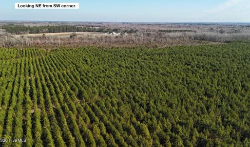 DJI_20260107130807_0618_D Large