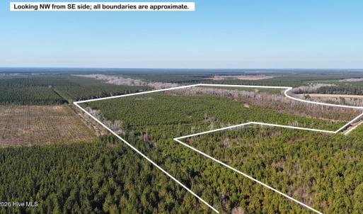 DJI_20260107140751_0639_D Large