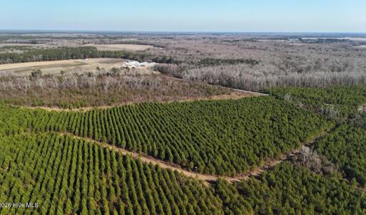 DJI_20260107132019_0633_D Large