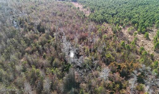 DJI_20260107122712_0587_D Large