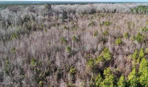 DJI_20260107122308_0574_D Large