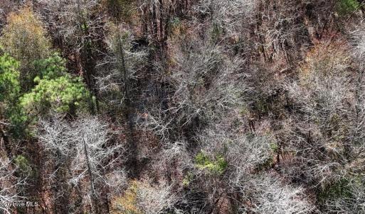 DJI_20260107123013_0604_D Large