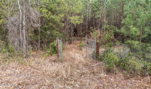 37-web-or-mls-DJI_20260115101537_0184_D