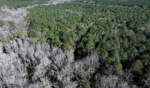 DJI_20251202060628_0664_D