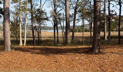 Frontal to Marsh/River