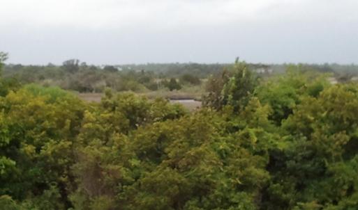 2011-07-08 10.42.20