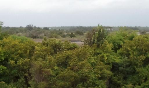 2011-07-08 10.42.20