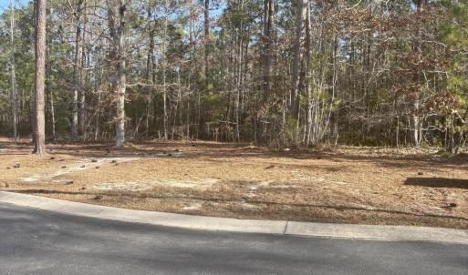 1206 Mandevilla Dr front