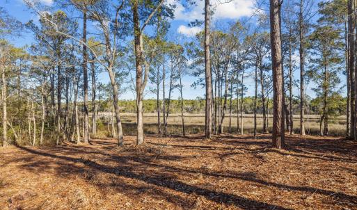 5-web-or-mls-1S3A7442